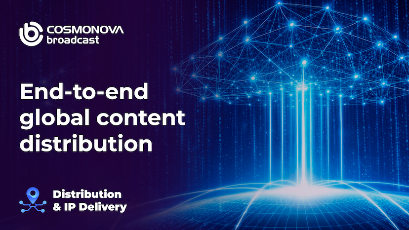 Licensed TV Distribution and IP Delivery - Comprehensive Service for Broadcasters and Rights Holders - Photo